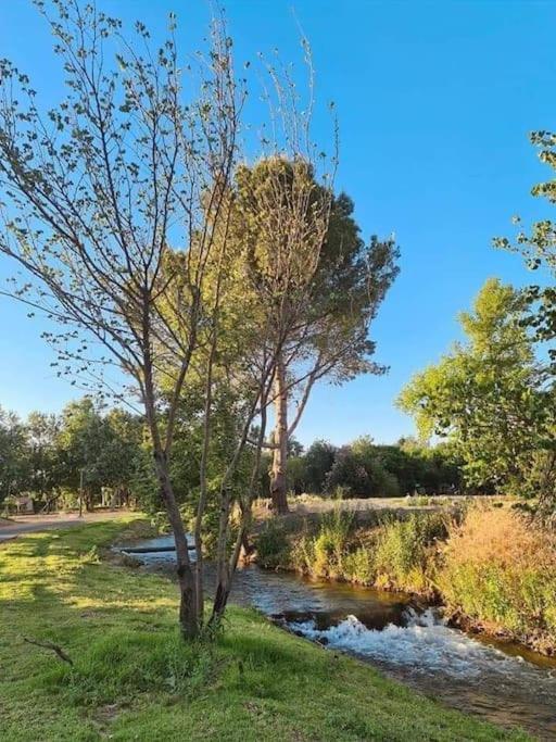 哈戈什里姆קסם של אירוח公寓 外观 照片